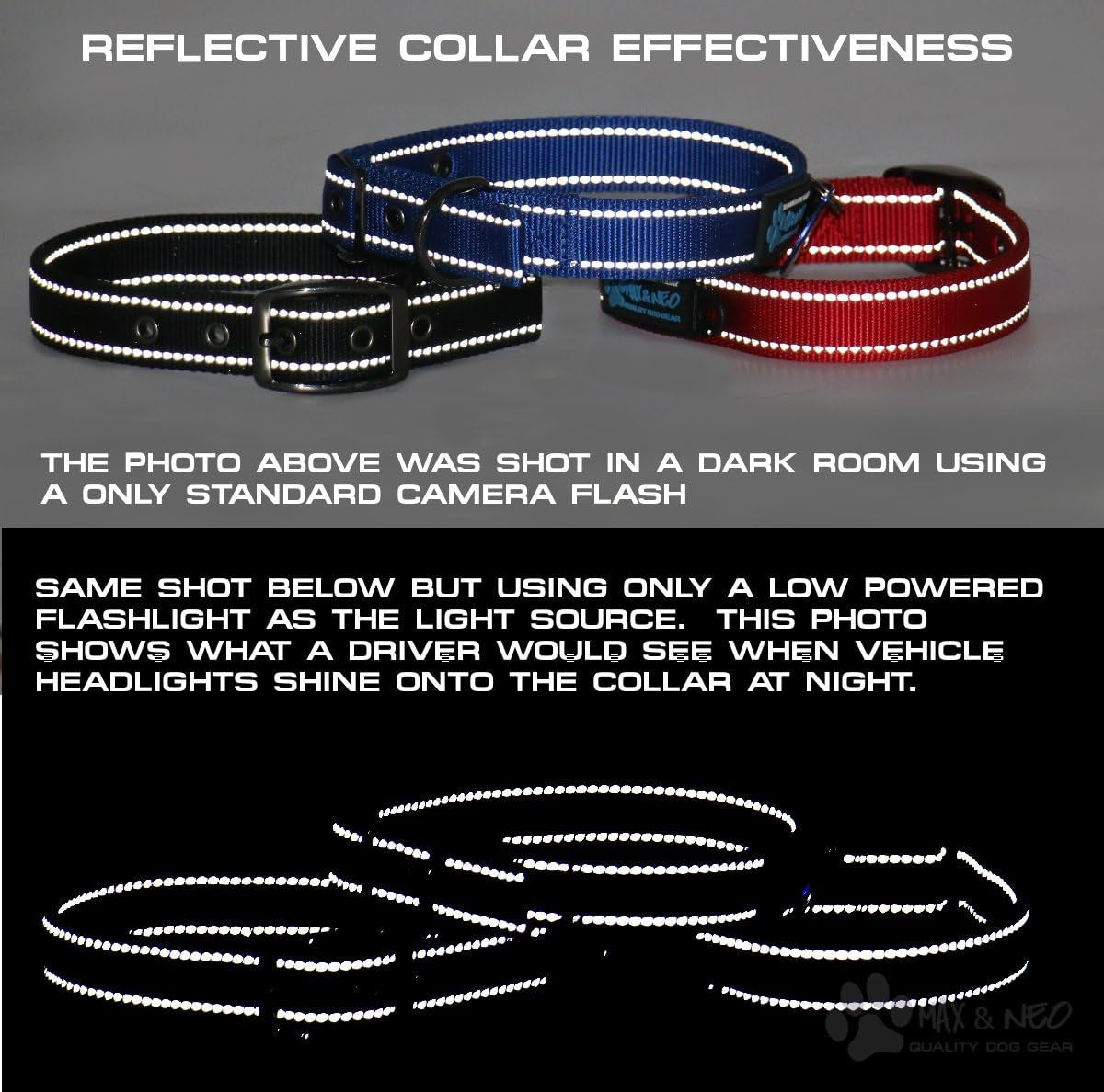 MAX Reflective Metal Buckle Dog Collar - We Donate a Collar to a Dog Rescue for Every Collar Sold (Small, Black)