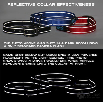 MAX Reflective Metal Buckle Dog Collar - We Donate a Collar to a Dog Rescue for Every Collar Sold (Small, Black)