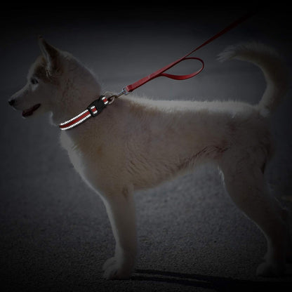 3 Pieces Reflective Dog Collar Nylon Adjustable Quick Release Pet Collars for Dogs(Medium)