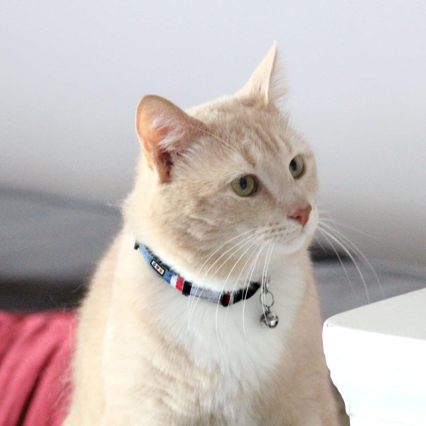 Pet Multicolor Cat Collar Teal/Pink/Purple with Safety Buckle and Removable Bell for Cats and Kittens
