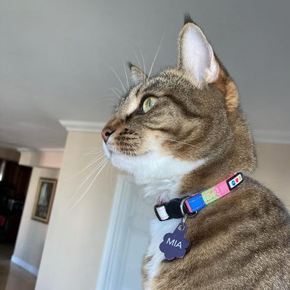 Pet Multicolor Cat Collar Teal/Pink/Purple with Safety Buckle and Removable Bell for Cats and Kittens